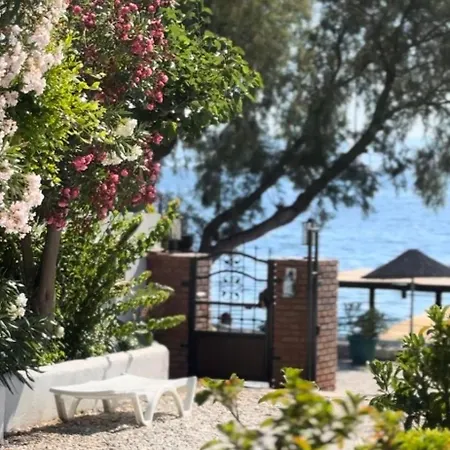 Bed & Breakfast Yueksel Butik Bodrum
